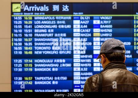 Tokyo, Japon. 01st févr. 2019. Un homme en casquette de baseball regarde le tableau des arrivées de l'aéroport international Haneda de Tokyo. (Photo de Damon Coulter/SOPA Images/Sipa USA) crédit: SIPA USA/Alay Live News Banque D'Images