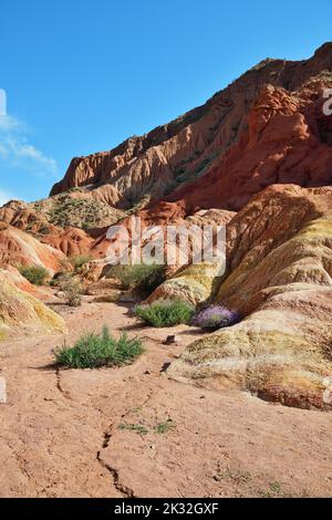 Paysages étonnants du canyon Fairy Tale également connu sous le nom de formations rocheuses rouges de grès Skazka à proximité du lac Issyk-Kul. Kirghizistan. Asie centrale Banque D'Images