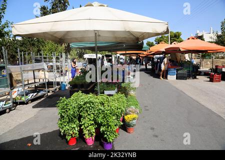 Personnes Shopping au samedi marché porte-affiche vendre le basilic et le chrysanthème Vouliagmeni Athènes Grèce Banque D'Images