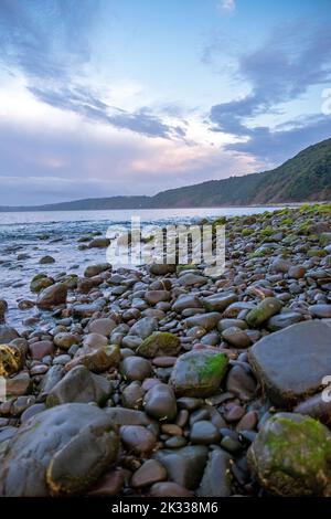 Stoney Shore à Clovelly. Banque D'Images