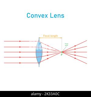 schéma de la lentille convexe en physique optique. Illustration de Vecteur