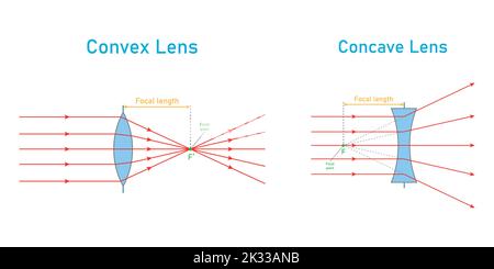 schéma de la lentille convexe et concave en physique optique. Illustration de Vecteur