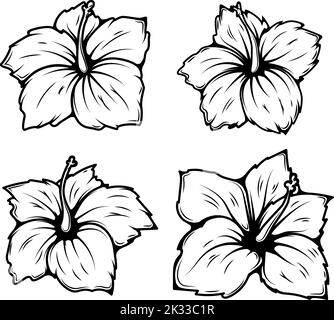 Ensemble d'illustrations de fleurs d'hibiscus. Éléments de design pour logo, étiquette, signe, t-shirt. Illustration vectorielle Illustration de Vecteur