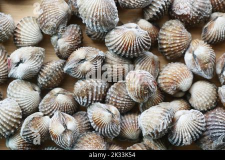 dolly shot de cottes sur une assiette Banque D'Images