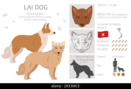 Falaise de chien de Lai vietnamienne. Différentes couleurs de pelage. Illustration vectorielle Illustration de Vecteur