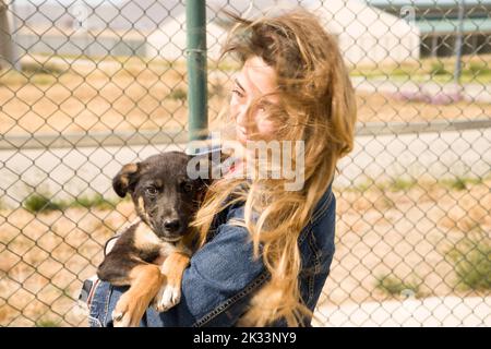 BAKOU, AZERBAÏDJAN, 16 MAI 2018 : volontaire de fille dans la pépinière pour chiens. Refuge pour chiens errants Banque D'Images