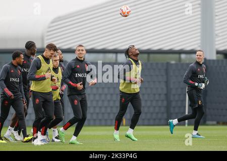 Les joueurs de Belgique photographiés lors d'une session d'entraînement de l'équipe nationale belge de football, les Red Devils, samedi 24 septembre 2022 à Tubize, lors des préparatifs du prochain match de la Ligue des Nations de l'UEFA contre les pays-Bas, sixième match d'une série de six au cours de la phase de groupe. BELGA PHOTO BRUNO FAHY Banque D'Images