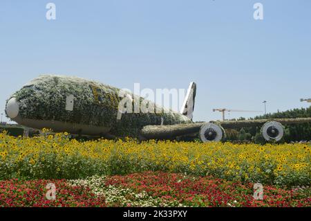 Dubaï, Émirats arabes Unis. 01 juin 2022 : une sculpture de l'avion Airbus A380 des Émirats recouvert de fleurs au jardin du Miracle de Dubaï. Banque D'Images