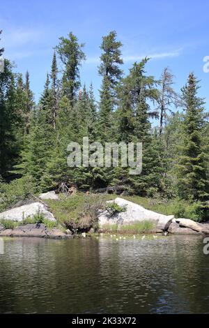 Chapleau - chaîne des lacs / Chapleau - chaîne des lacs / Banque D'Images