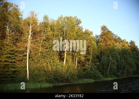 Chapleau - chaîne des lacs / Chapleau - chaîne des lacs / Banque D'Images