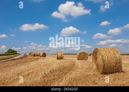 Champ de chaume avec rouleaux de paille, Palatinat, Rhénanie-Palatinat, Allemagne Banque D'Images