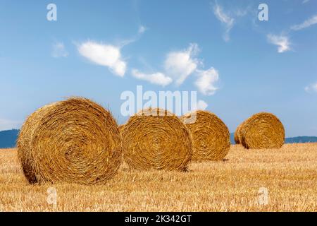 Champ de chaume avec rouleaux de paille, Palatinat, Rhénanie-Palatinat, Allemagne Banque D'Images