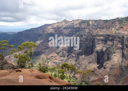 Pu'u Hinahina Lookout, parc national de Waimea Canyon, Kauai, Hawaï, États-Unis, Amérique du Nord Banque D'Images