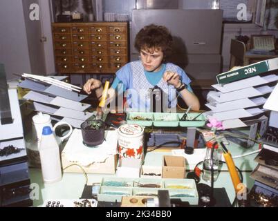 Dresde. La ville et l'usine de caméras de Pentacon lors d'une visite sur 10. 6. 1989 (mois devant la chute du mur) . Usine de Pentacon Banque D'Images