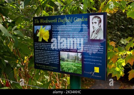 William Wordsworth daffodil Garden, Grasmere, Cumbria, Royaume-Uni Banque D'Images