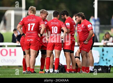 Richmond, Royaume-Uni. 24th septembre 2022. Rugby de championnat. Londres Scottish V Jersey Reds. Le terrain athlétique de Richmond. Richmond. Le Jersey avance le caucus lors du match de rugby de championnat London Scottish V Jersey Reds. Credit: Sport en images/Alamy Live News Banque D'Images