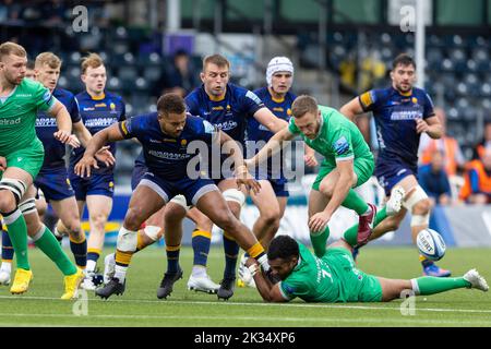 Ollie Lawrence de Worcester Warriors est affrontée par George Wacokecoke de Newcastle Falcons lors du match Gallagher Premiership Warriors de Worcester vs Newcastle Falcons au Sixways Stadium, Worcester, Royaume-Uni, 24th septembre 2022 (photo de Nick Browning/News Images) Banque D'Images