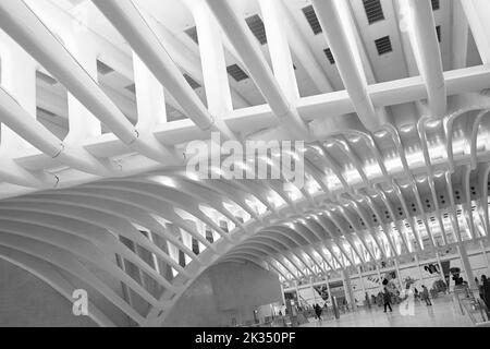 Détail des os ou de la colonne vertébrale à l'intérieur de l'Oculus au World Trade Center de Manhattan, New York Banque D'Images