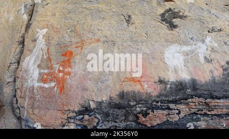 Art rupestre aborigène : chasseur rouge et kangourou blanc, deuxième à droite. Anbangbang-Burrungkuy-Australie-204 Banque D'Images