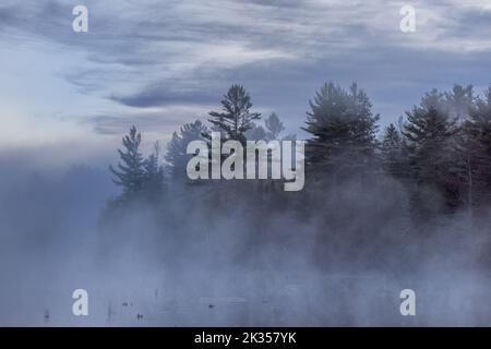 Brouillard qui s'élève sur un lac sauvage à Clam Lake, Wisconsin. Banque D'Images