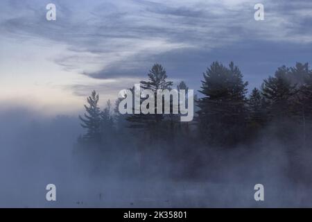 Brouillard qui s'élève sur un lac sauvage à Clam Lake, Wisconsin. Banque D'Images