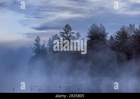 Brouillard qui s'élève sur un lac sauvage à Clam Lake, Wisconsin. Banque D'Images