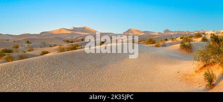 De beaux appartements de Mesquite dans la vallée de la mort désert dans la lumière du coucher du soleil, USA Banque D'Images