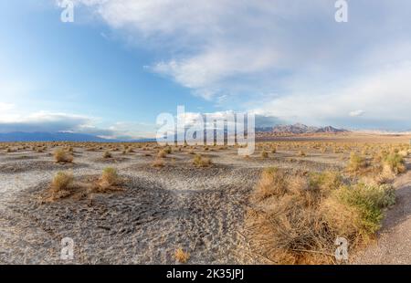 De beaux appartements de Mesquite dans la vallée de la mort désert dans la lumière du coucher du soleil, USA Banque D'Images