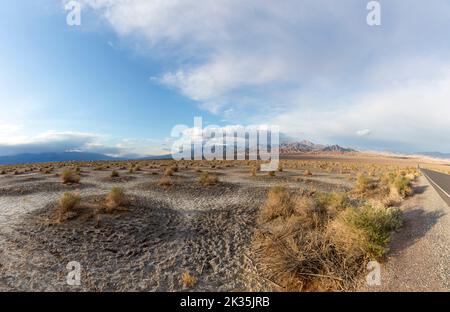 De beaux appartements de Mesquite dans la vallée de la mort désert dans la lumière du coucher du soleil, USA Banque D'Images