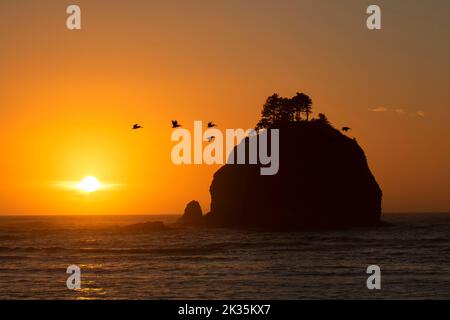 Coucher de soleil sur Little James Island, la Push, Quileute Indian Reservation, Washington Banque D'Images