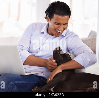 Mon compagnon de travail. Un beau jeune homme qui pète son chien tout en travaillant sur un ordinateur portable à la maison. Banque D'Images