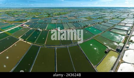 Vue aérienne de la ferme de crevettes de Taïwan Banque D'Images