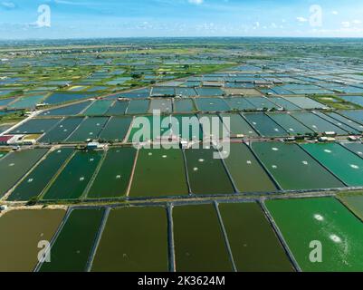 Vue aérienne de la ferme de crevettes de Taïwan Banque D'Images