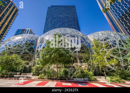 Amazon Spheres sur le campus du siège d'Amazon, Seattle, Washington, États-Unis Banque D'Images