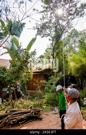 Les coupe-arbres travaillent à l'usine de soie de Siem Reap, au Cambodge Banque D'Images