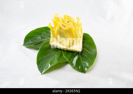 Un seul cœur de jackfruit affiché sur le départ de jackfruit sur fond blanc. Un fruit d'été populaire en Asie. Banque D'Images