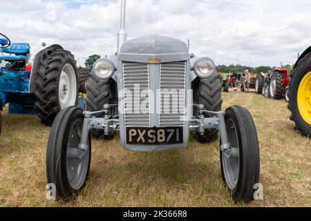 Ilminster.Somerset.United Kingdom.August 21st 2022.A restored Ferguson TE20 tractor is on display at a Yesterdays Farming event Stock Photo