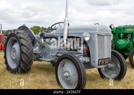 Ilminster.Somerset.United Kingdom.August 21st 2022.A restored Ferguson TE20 tractor is on display at a Yesterdays Farming event Stock Photo