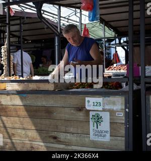 Belgrade, Serbie, 5 août 2022 : un détenteur de rame examine l'ail sur le marché agricole de Zemun Banque D'Images