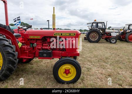 Ilminster.Somerset.United Kingdom.August 21st 2022.A restored David Brown 950 is on display at a Yesterdays Farming event Stock Photo