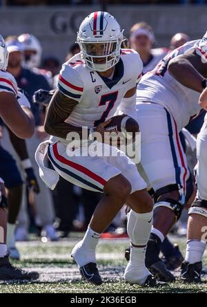 24 septembre 2022 Berkeley CA, États-Unis le quarterback de l'Arizona Jayden de Laura (7) remet le ballon à sa course pendant le match de football de la NCAA entre les Wildcats de l'Arizona et les ours d'or de la Californie. La Californie a battu l'Arizona 49-31at California Memorial Stadium. Thurman James/CSM Banque D'Images