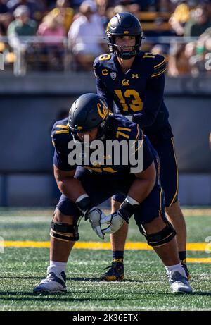 24 septembre 2022 Berkeley CA, États-Unis le quarterback de Californie Jack Plummer (13) regarde la défense des Wildcats pendant le match de football de la NCAA entre les Wildcats d'Arizona et les ours d'or de Californie. La Californie a battu l'Arizona 49-31at California Memorial Stadium. Thurman James/CSM Banque D'Images