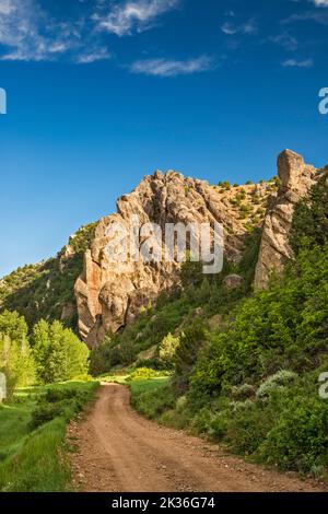 Roches conglomérat, Reddick Canyon, Chicken Creek Road, FR 101, montagnes San Pitch, Forêt nationale d'Uinta, Utah, États-Unis Banque D'Images