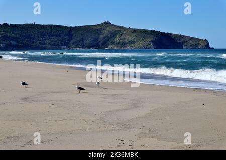 Palinuro - Promontorio di Capo Palinuro dalla spiaggia della Baia degli Angeli Banque D'Images