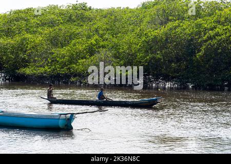 La vue de deux pêcheurs assis dans le canoë pagayant au-dessus de la rivière Jaguaripe par une journée ensoleillée Banque D'Images