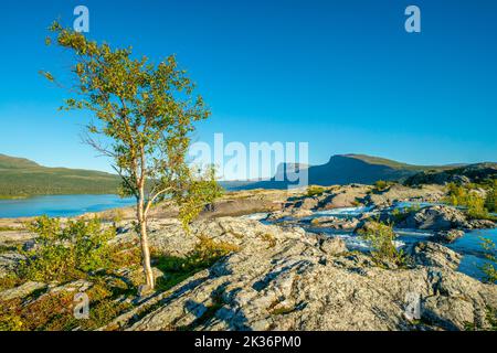 Heure d'or près des rapides de la cascade de Stuor Muorkke dans le parc national de Stora Sjofallet, Suède. Aventure dans la nature arctique. Belle journée ensoleillée à l'intérieur Banque D'Images