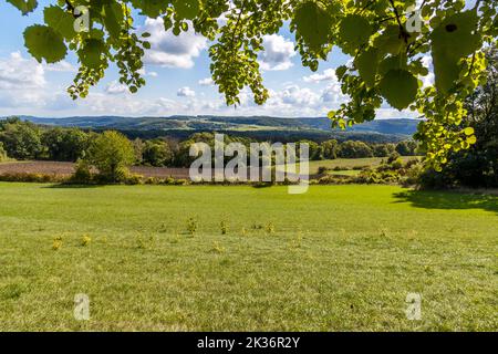 Des jeunes arbres auto-ensemencés poussent dans une prairie surplombant les collines boisées autour du Staffelberg près de Bad Staffelstein, en Bavière, Allemagne. Une branche feuillue encadre la vue sur les prairies et les champs dans la vallée en contrebas. Banque D'Images