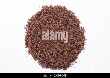 Graines de moutarde dans la pelle en bois, isolées sur des graines de moutarde blanche.Rai ou brune Banque D'Images