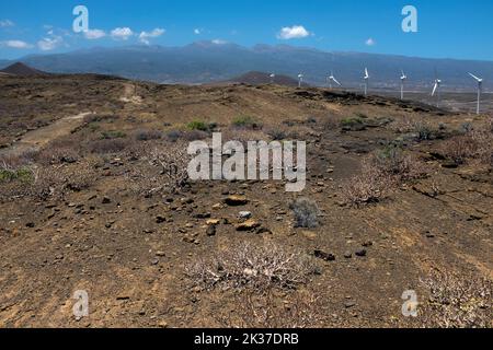 Paysage avec parc éolien sur le monument naturel Montaña Pelada, Tenerife, îles Canaries Banque D'Images