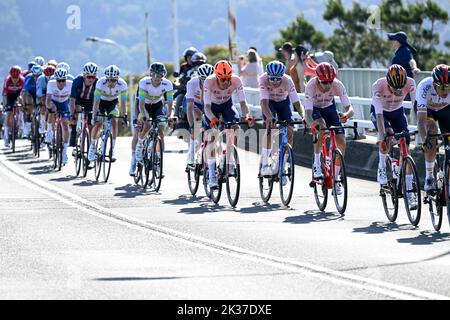 25th septembre 2022 ; Wollongong, Illawarra, pays de Galles du Sud, Australie : Championnats du monde de cyclisme sur route UCI, le champ principal descend dans le circuit de la ville pendant la course sur route Elite Mens Banque D'Images